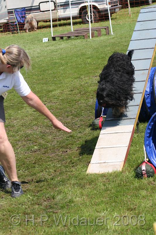 jubil.lusten. 276.jpg